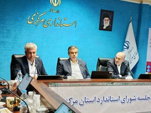 مهدی زندیه وکیلی